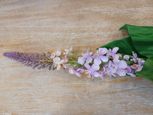 28" Veronica Stem Purple