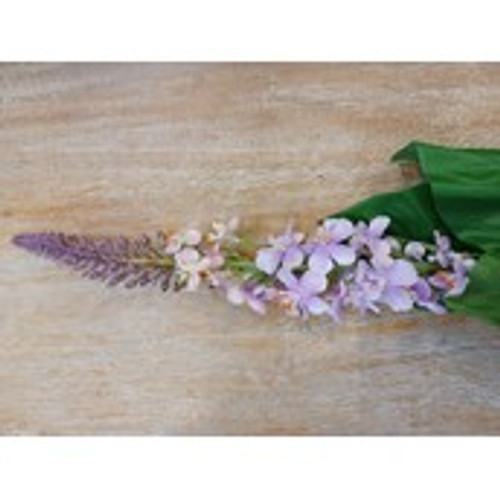 28" Veronica Stem Purple