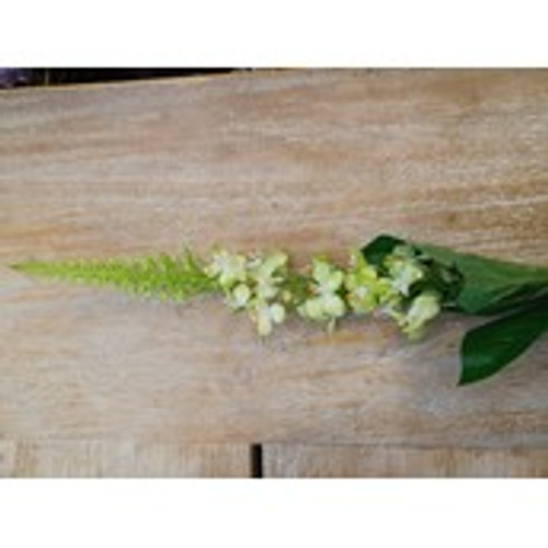 28" Veronica Stem Green