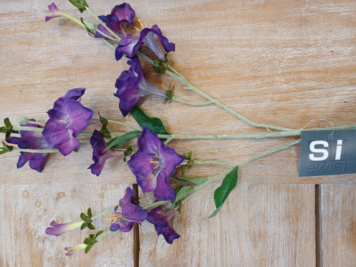 24" Morning Glory Spray Purple