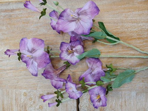 24" Morning Glory Spray Blue
