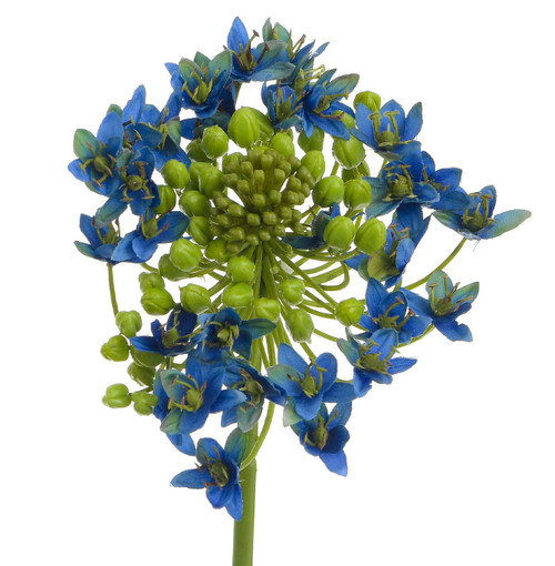 24" Onion Flower Spray Blue
