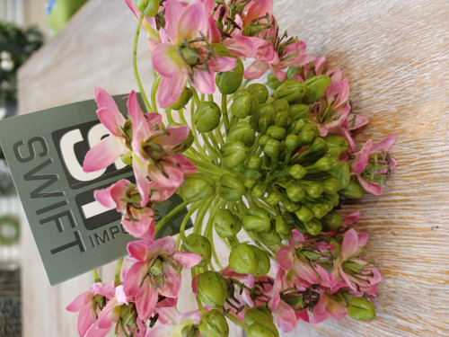 24"  Onion Flower Spray Pink