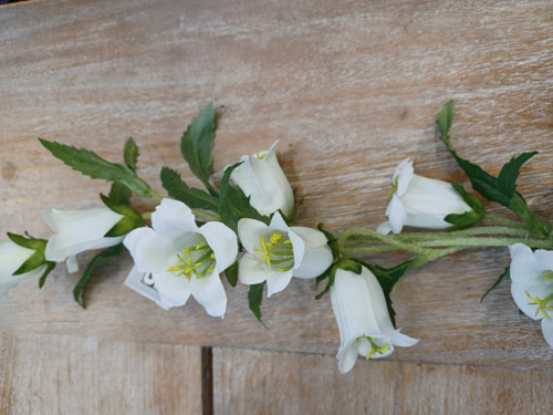 88cm Campanula Spray Cream