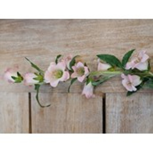 88cm Campanula Spray Pink