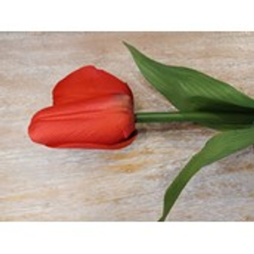 28" Tulip W/Leaves Red