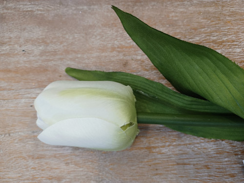 28" Tulip W/Leaves Cream