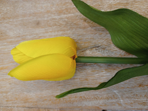 28" Tulip W/Leaves Yellow