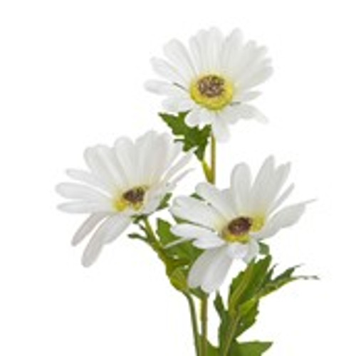 42cm Gerbera Spray x3 Cream