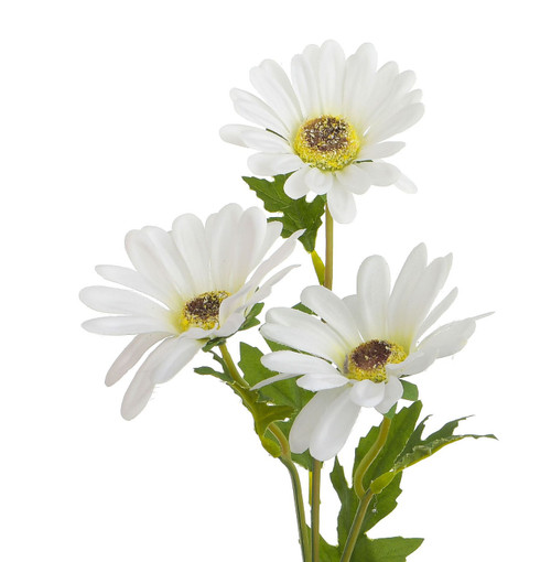 42cm Gerbera Spray x3 Cream