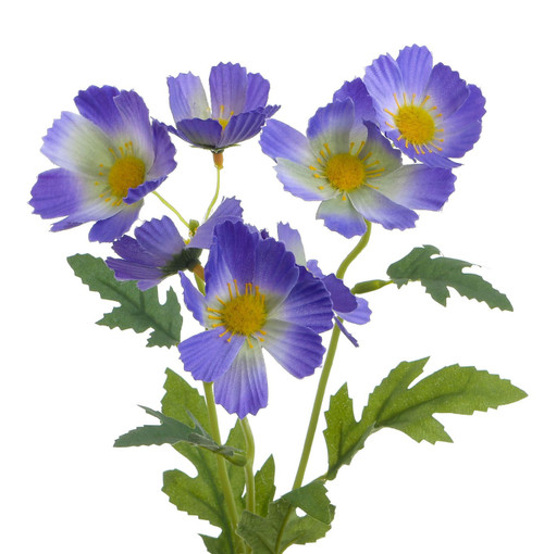 42cm Cosmos Spray x3 Lavender