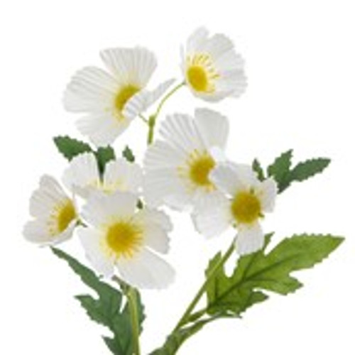 42cm Cosmos Spray x3 Cream