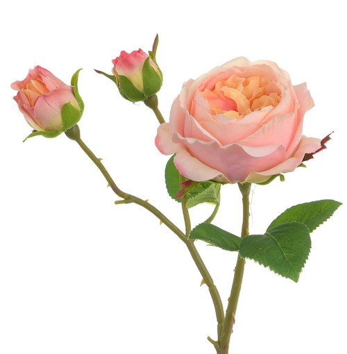 48cm English Rose Spray Pink