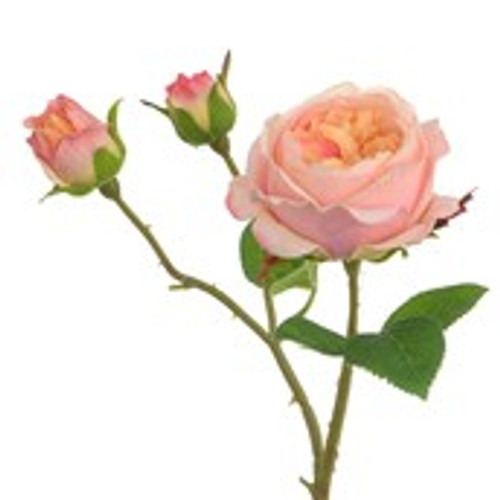 48cm English Rose Spray Pink