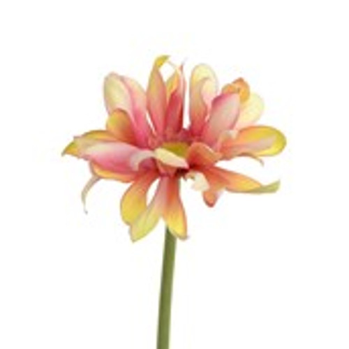 55cm Curly Gerbera Pink