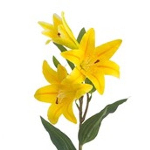 79cm Tiger Lily Spray Yellow