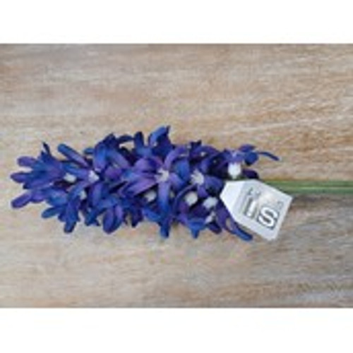 41.5cm Hyacinth Purple