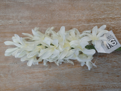 41.5cm Hyacinth Cream