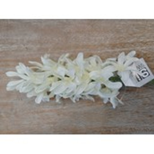 41.5cm Hyacinth Cream