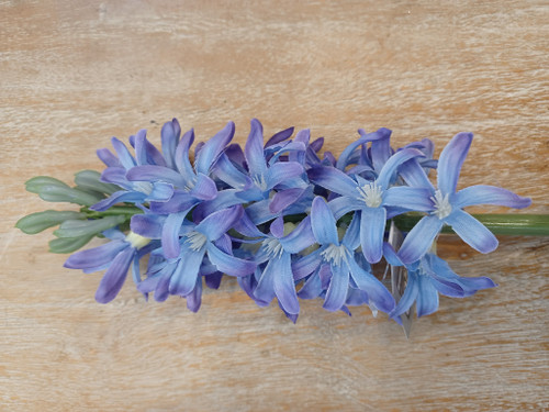 41.5cm Hyacinth Blue