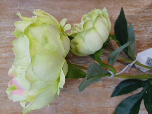 26" Peony x 2 Lime