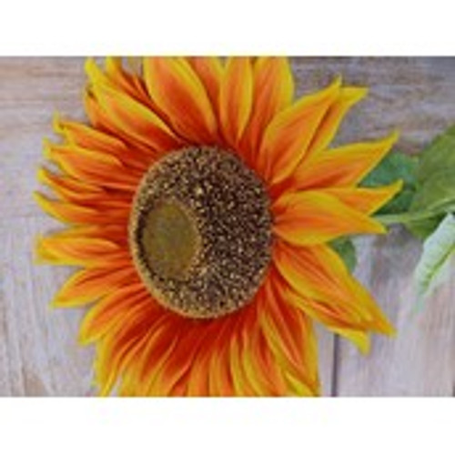 30" Sunflower Orange