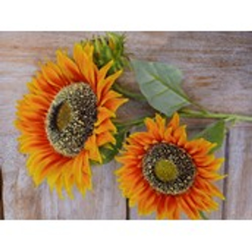 Sunflower Spray x 3 Orange