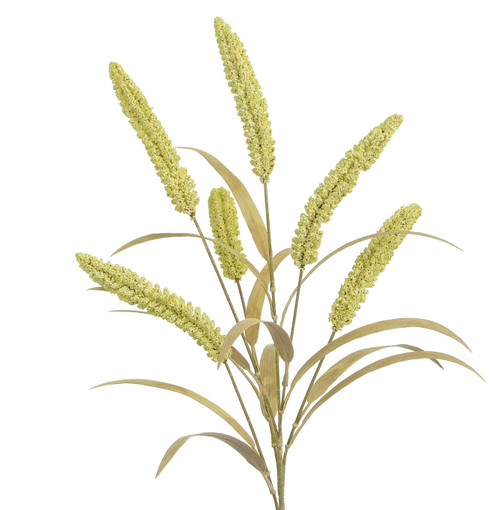 84cm Dracena w/Grass Spray Cream