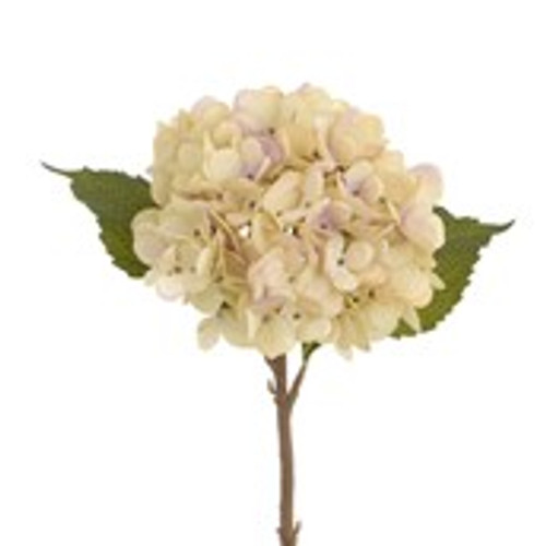 48cm Hydrangea Spray Cream