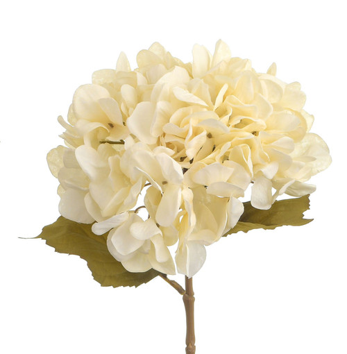60cm Hydrangea Spray Cream