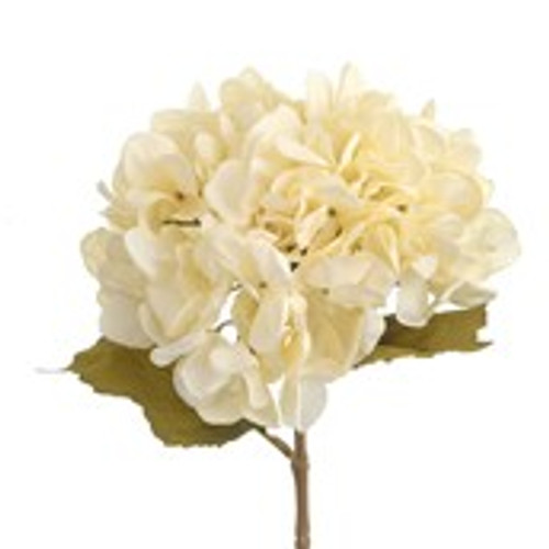 60cm Hydrangea Spray Cream