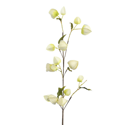 105cm Lantern Spray Cream