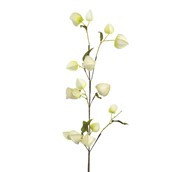 105cm Lantern Spray Cream