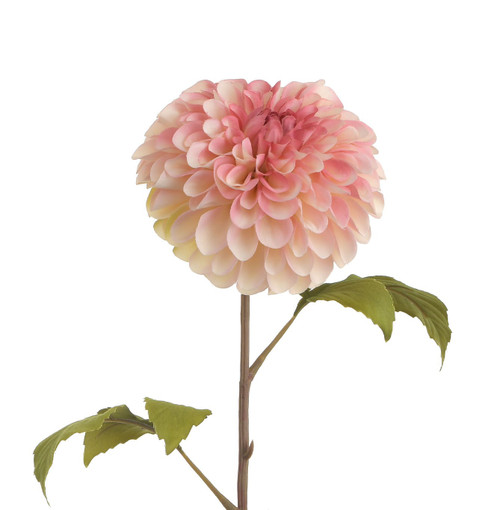 75cm Dahlia Pink