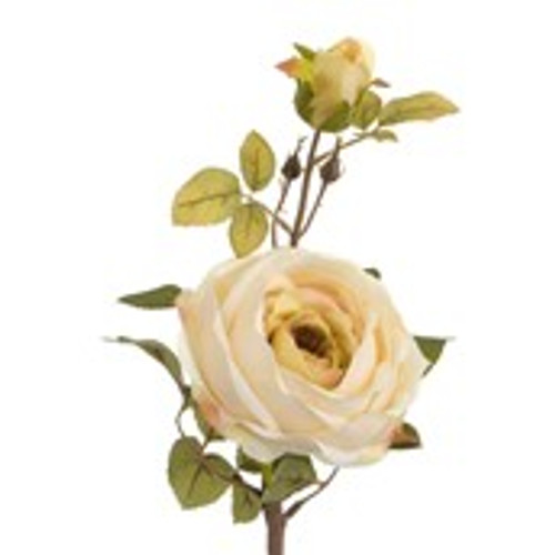 60cm Rose Spray Cream