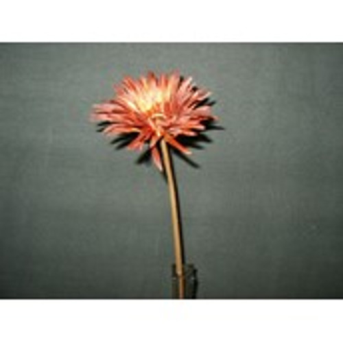 Rusty Gerbera Daisy Spray