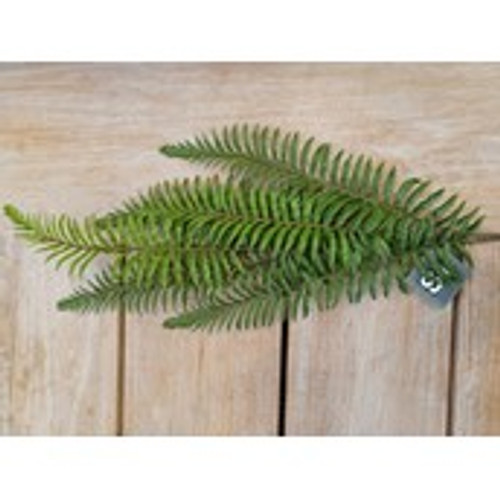 36" Fern Spray