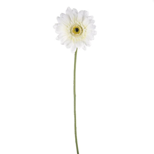 Gerbera White 59Cm