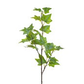 70cm Frosted Ivy Spray