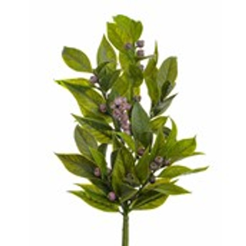 54cm Laurel Spray w/Berry