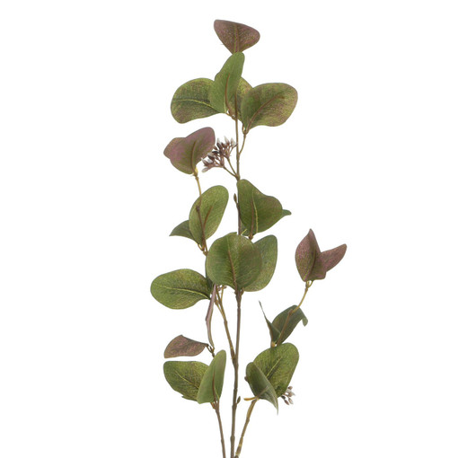 75cm Eucalyptus Spray Brown/Green
