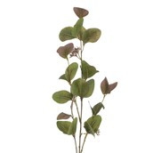 75cm Eucalyptus Spray Brown/Green