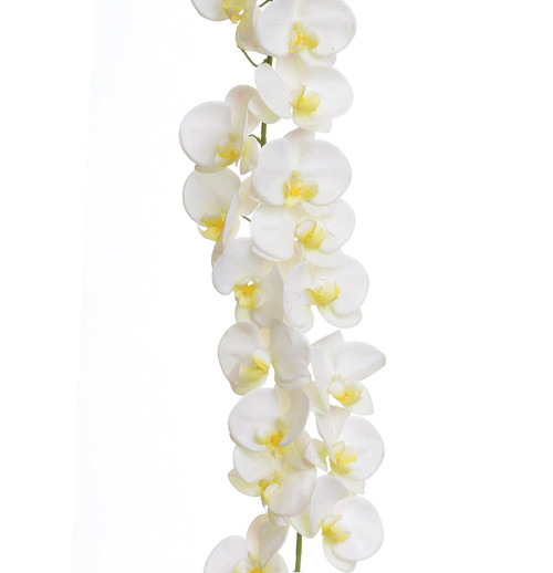 135cm Orchid Garland x36 Cream