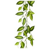 Wandering Jew Garland