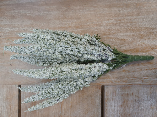 29cm Erica Bush White