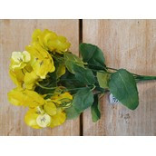 30cm Pansy Bush x7 Dk Yellow