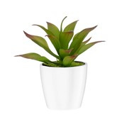 14cm Succulent White Pot