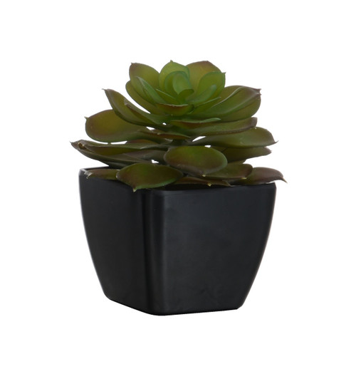 11cm Succulent Black Pot