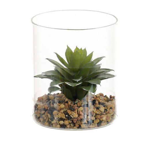 12cm Succulent in Glass Pot White