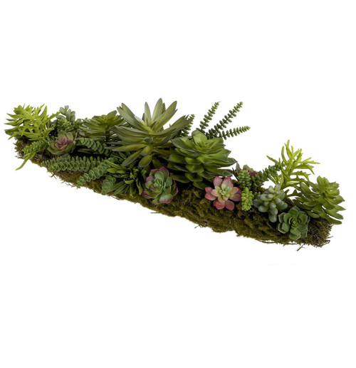 78cm Mixed Succulent Centrepiece